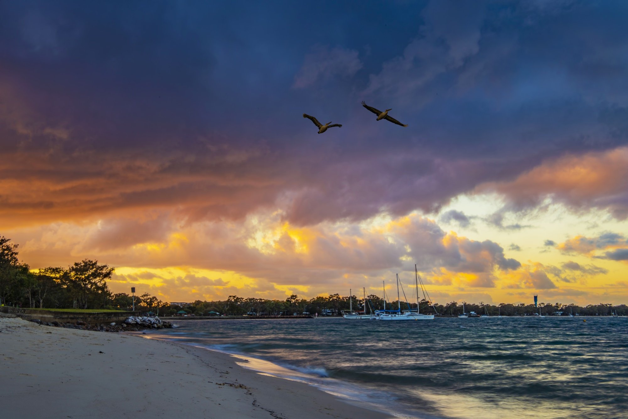 bribie island tour